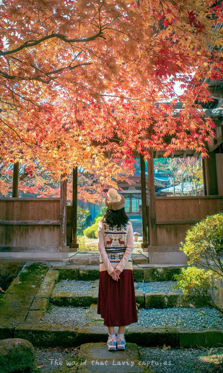 秋に呼ばれて🍁