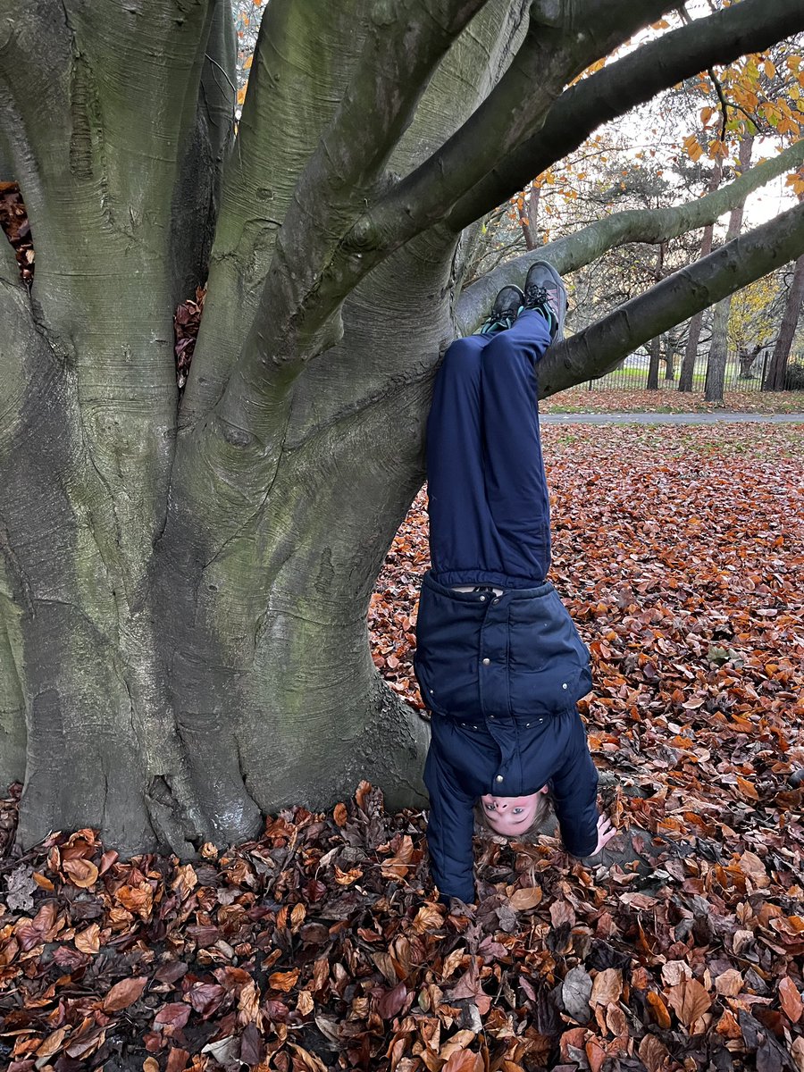 Outdoor Ed tweet media