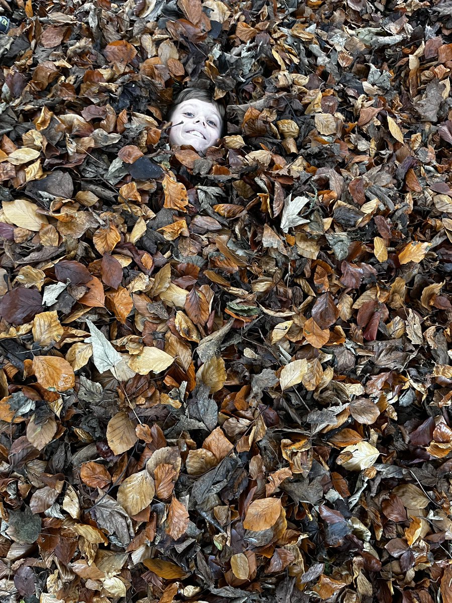Outdoor club having fun with leaves and trees