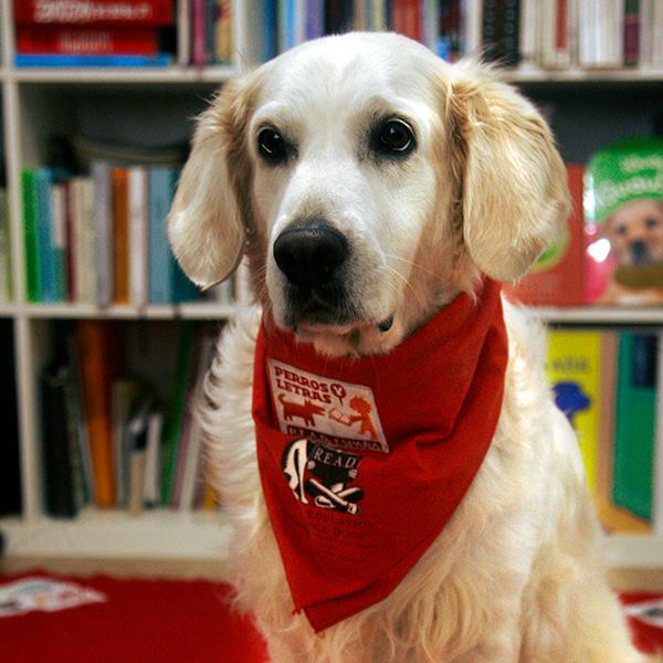 PERROS Y LETRAS tweet media
