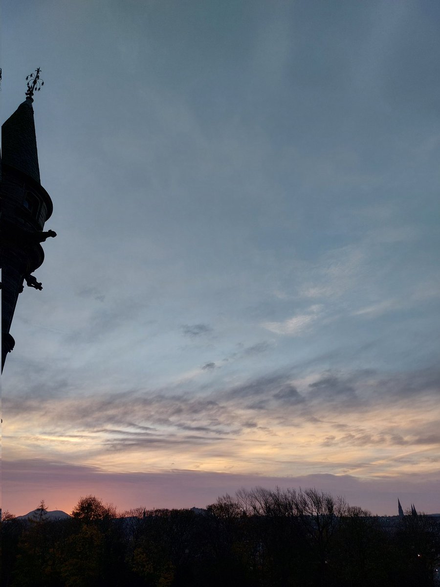 Fettes Humanities tweet media