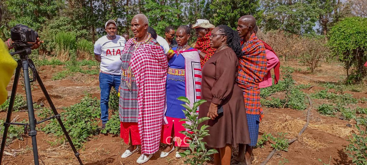 Consumers_Kenya's tweet image. #ConsumerFarmerConnect awareness often translates into better support for local agriculture and an openness to seasonal food systems trends, a sustainable practice aligned with natural cycles. Many #CSAs and local food networks also offer educational events and farm visits,