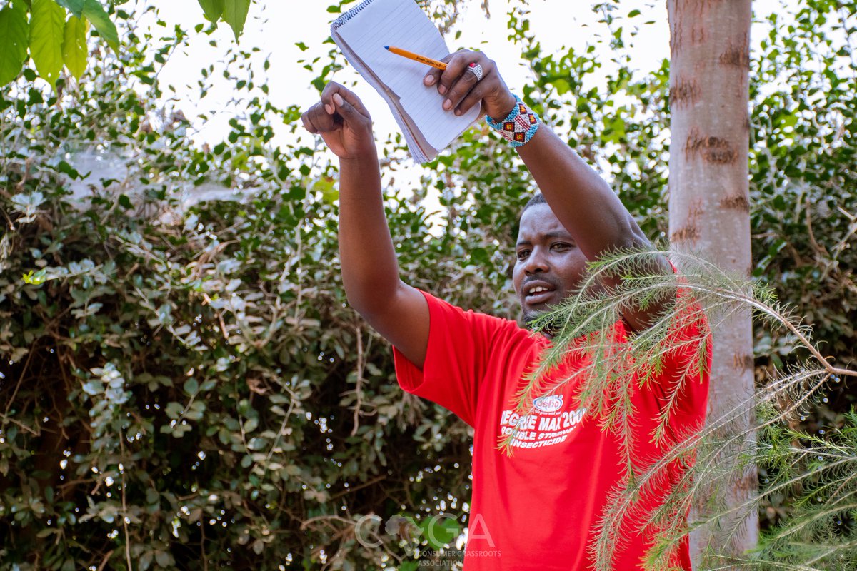 Consumers_Kenya's tweet image. #ConsumerFarmerConnect awareness often translates into better support for local agriculture and an openness to seasonal food systems trends, a sustainable practice aligned with natural cycles. Many #CSAs and local food networks also offer educational events and farm visits,