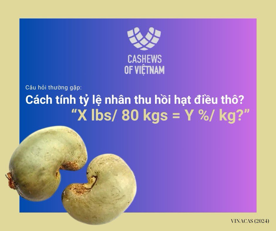 vinacas's tweet photo. 🔑Q&A to a cashew lover: "How to convert RCN's outturn from lbs per 80 kgs into percent per kg?"🧐
#vinacas #hatdieu #cashew #rawcashewnut #rcnoutturn #rcnoutturnconversion https://t.co/LfH7T3j7Or