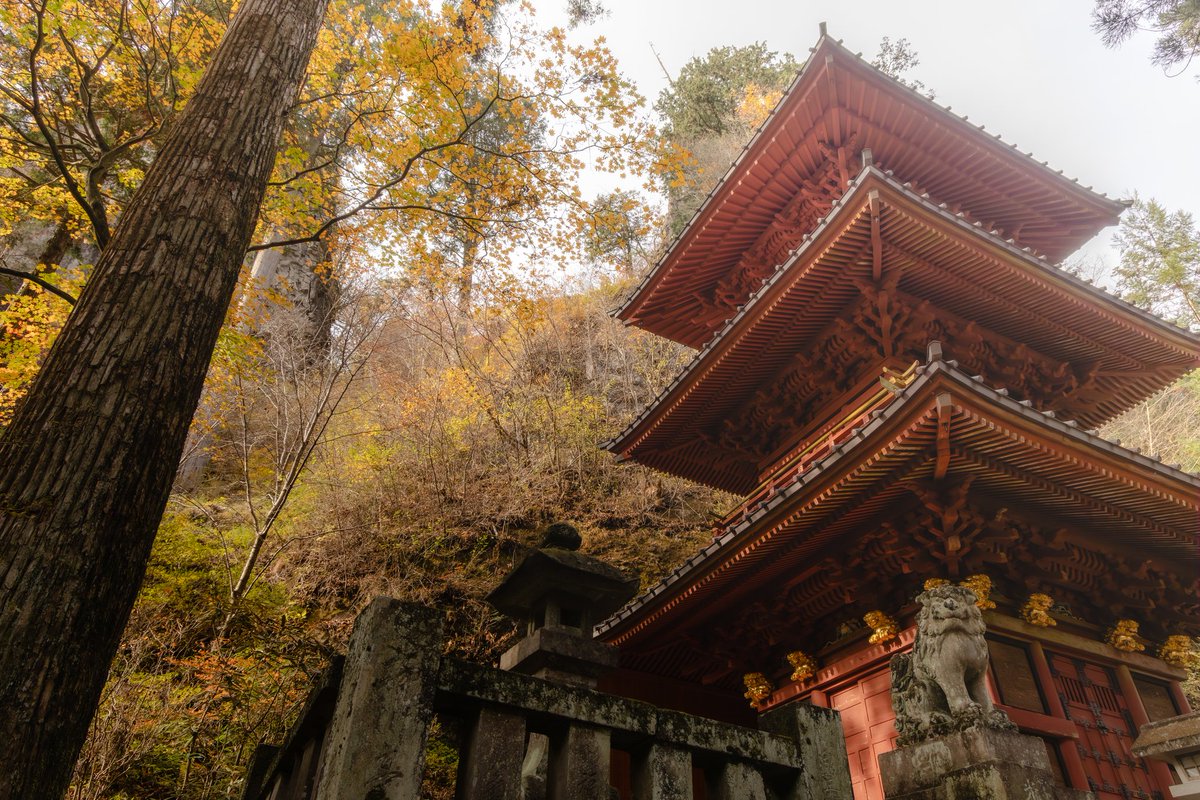 #見た人は無言で去年の11月の写真を貼る