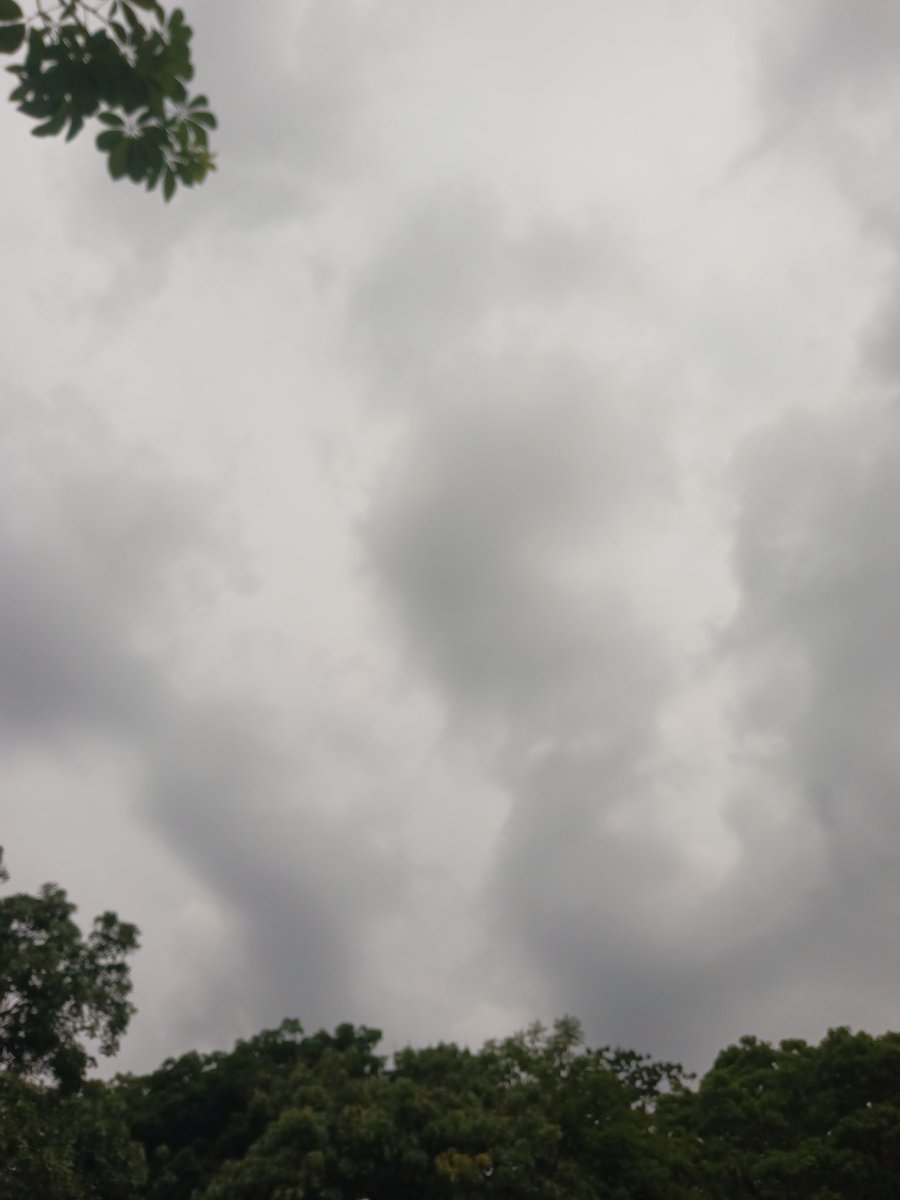 Retired Elder Rex M.E Midzi tweet media