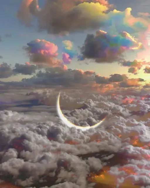 noveliciouss's tweet photo. Try to be a rainbow in someone’s cloud.
Maya Angelou 
#bestseller #writing #amwriting #reading #Film #Actor #Art #Book #Author #Hollywood #WritingCommunity #writerslift
Art by Leonardo Di Aetherhart https://t.co/ARzr3jjcOT