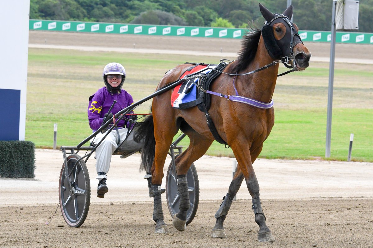 Club Menangle tweet media
