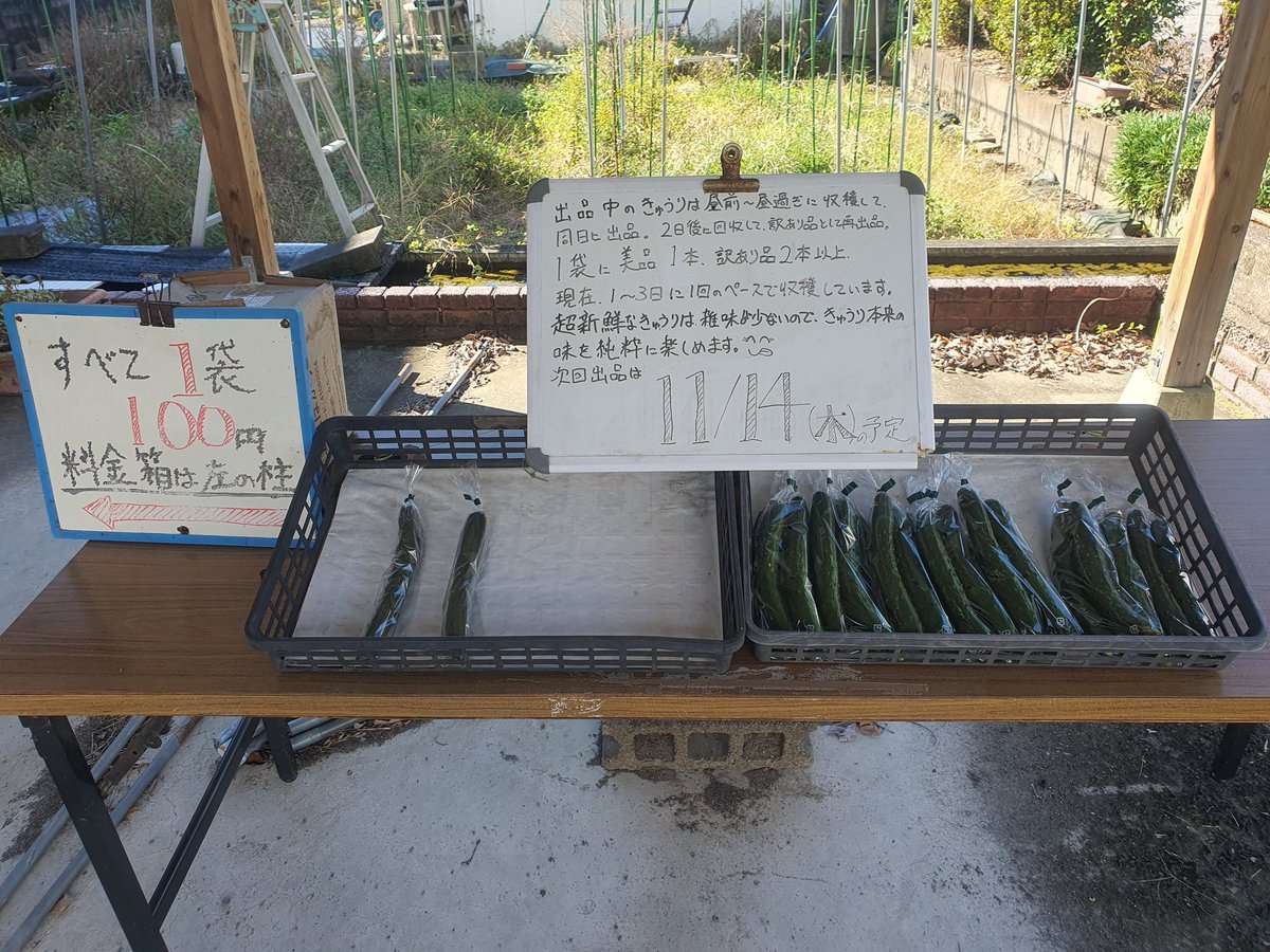 Matthew_22_39's tweet photo. いつもお買い求めいただきありがとうございます😊
本日収穫分10袋を追加で出品いたしました。
現在15袋出品中です。
気温も上がって、天気も良くなって、収穫量増えるかと思ったら、害虫被害も増えた・・・って、なんかデジャブ・・・ https://t.co/kOpHDhrJY1
