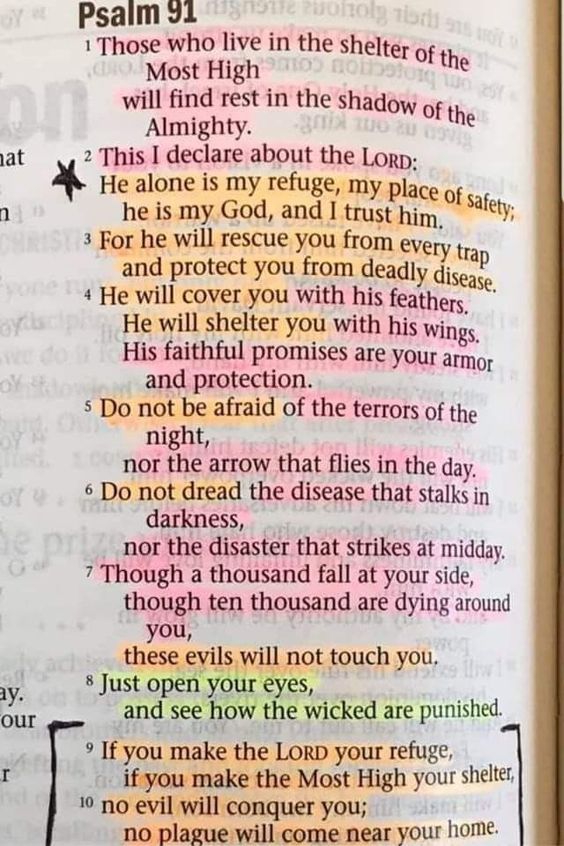 Bible365_'s tweet image. 