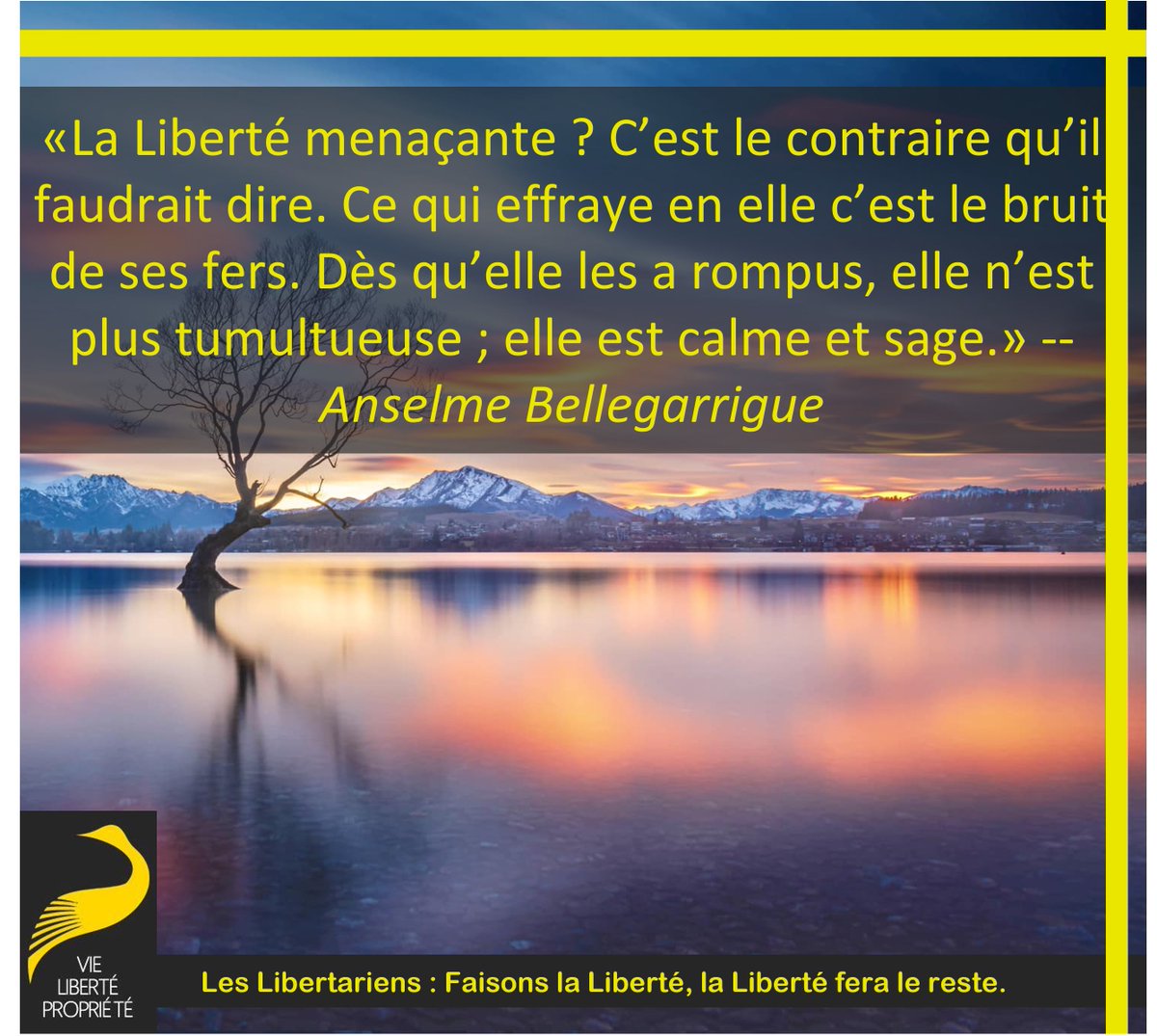 StephaneGeyres's tweet photo. La liberté menaçante ? c’est le contraire qu’il faudrait dire. Ce qui effraye en elle c’est le bruit de ses fers. Dès qu’elle les a rompus, elle n’est plus tumultueuse ; elle est calme et sage.
Anselme Bellegarrigue
#Liberté #Paix #NonAgression #RespectMutuel #Tyrannie #Dictature https://t.co/egHdUGjIn4
