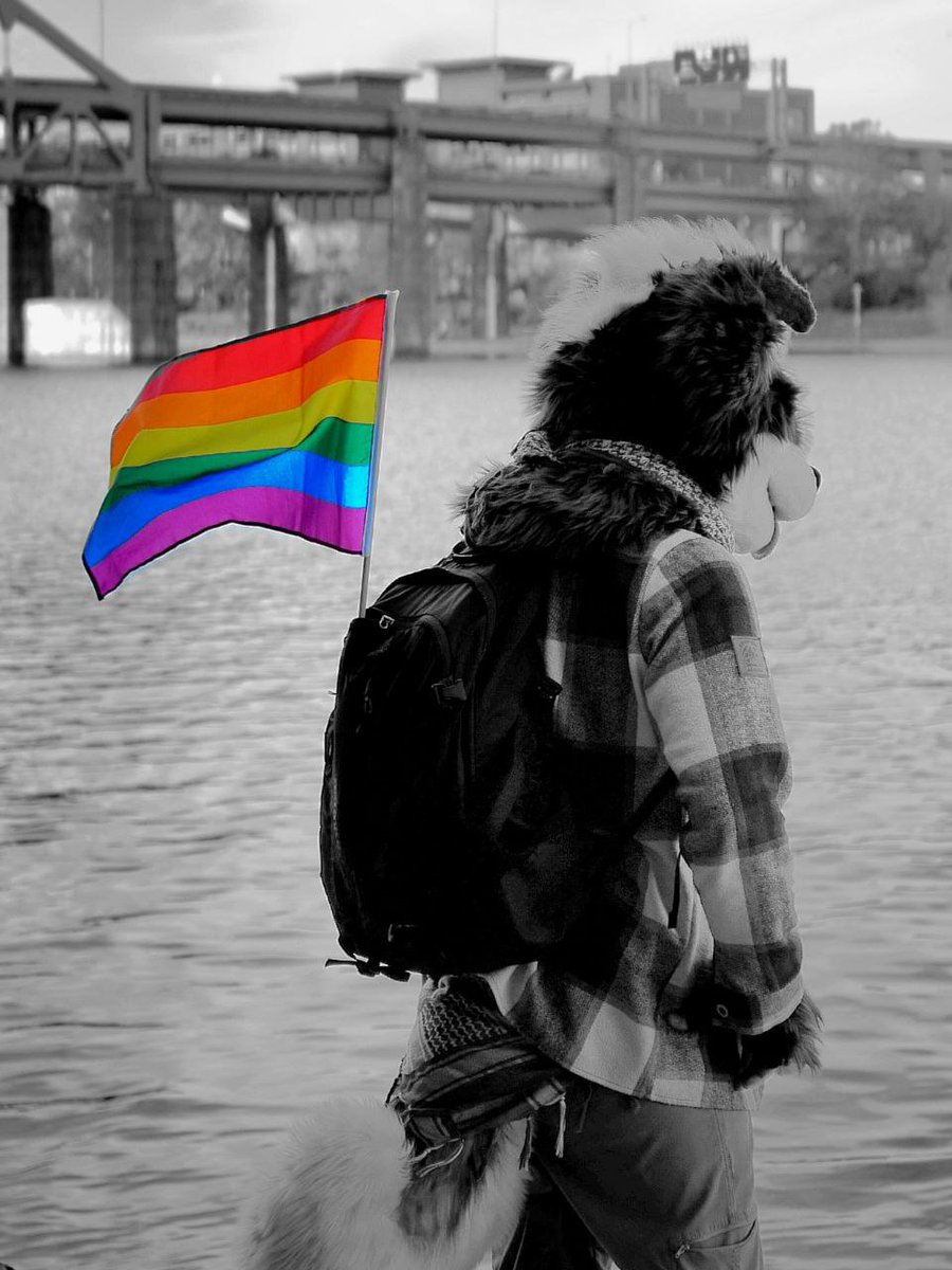 PRIDE 😤 

#Furry #Pride #LGBTQ #HeretoStayHereToSlay 
 📷:Clutch Fox