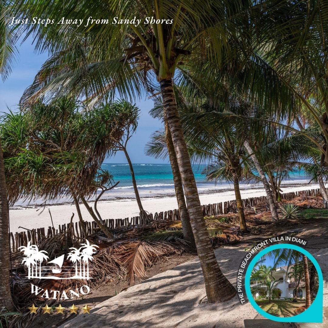 🌟🌴🌊🏡👨‍👩‍👦‍👦🏖️ Stroll Along Africa's Best Beach Infront Of #WatanoBeachHouse #Diani 🏖️👫🏡🌴🌊🌟

🤳 Book Your Villa Today Call: 0701 232 362 🤳

💬 Enquire On Whatsapp (Reservation Enquiries Only): wa.me/+254701232362

✉️ info@watanohouse.com