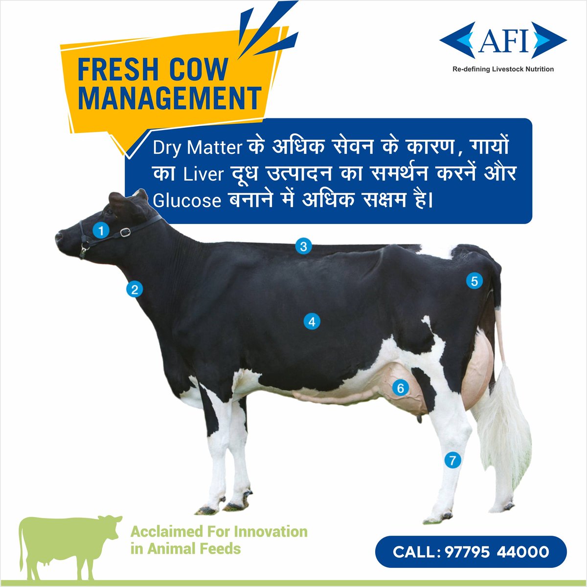 AFI Agro tweet media