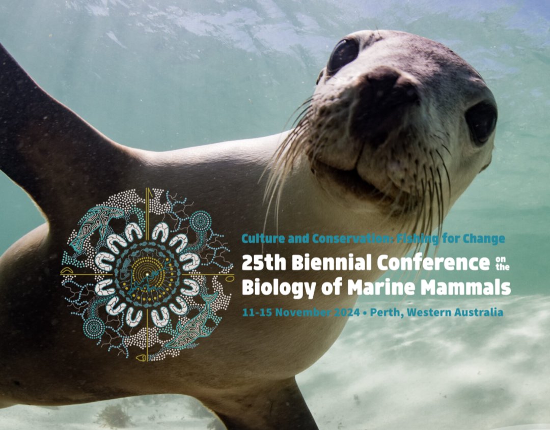 Calling alumni of the St Andrews Marine Mammal Science Masters! We're taking a group picture on Wednesday morning after the plenary session. We'll gather next to the conference sign by the registration desk. Spread the word and see you there! #SMM2024