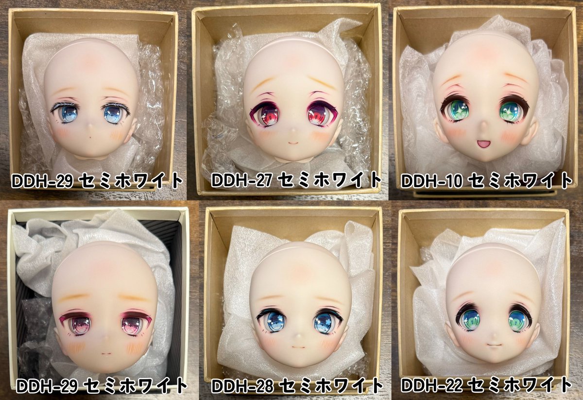 DDH27 DDH ドルフィードリーム MDD セミホワイト ボークス ヘッド MDD