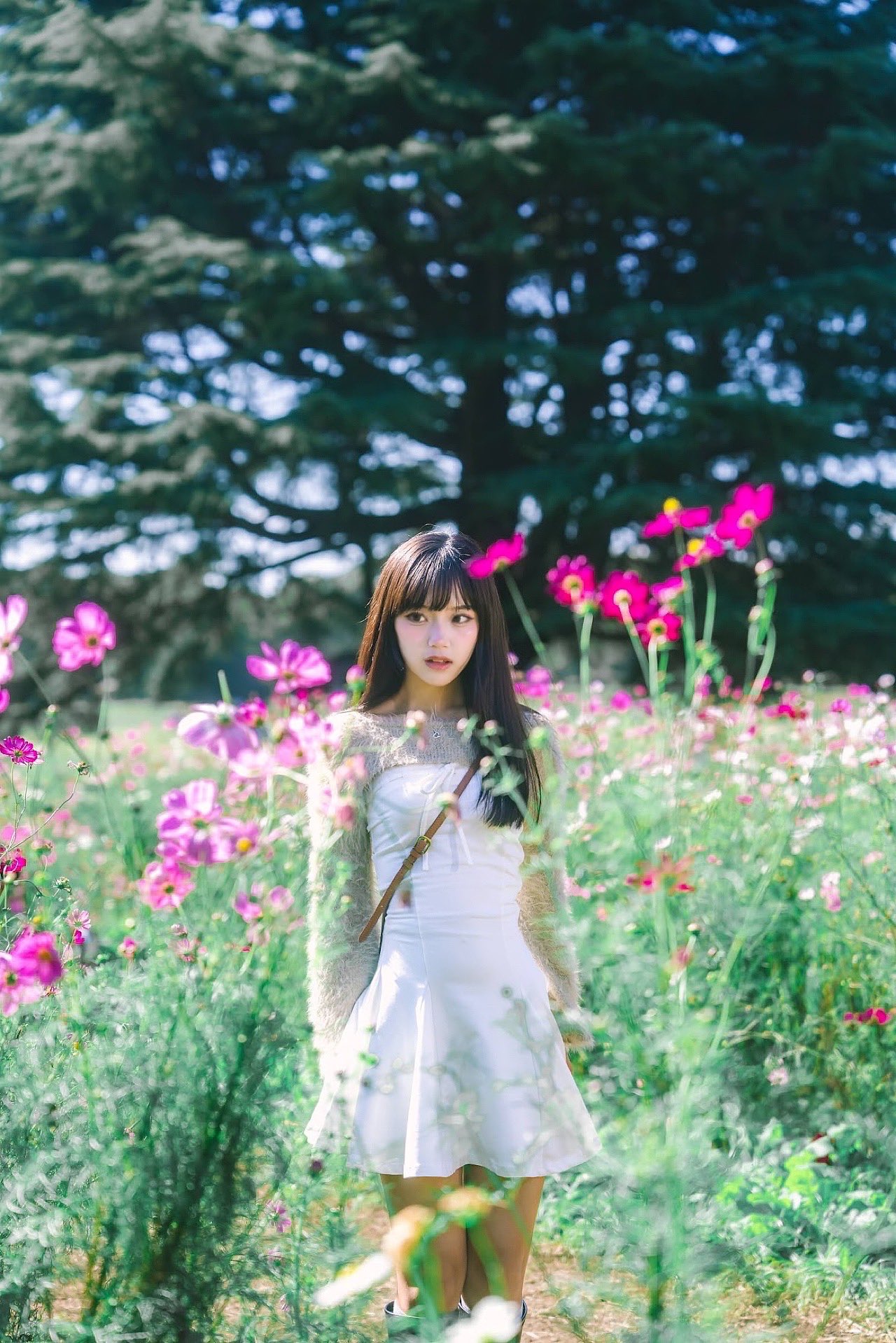 向日葵りお on X: 