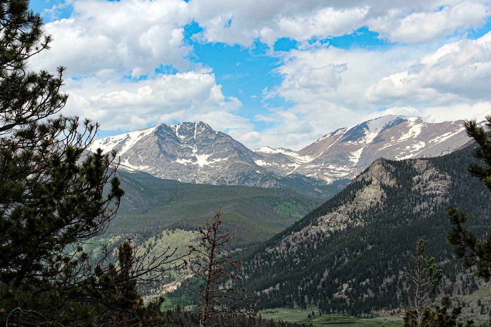 Roger ZenAF 🖕🐸🖕 tweet media