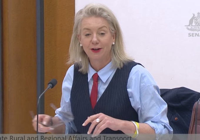 PeterWMurphy1's tweet image. Bridget McKenzie in #Estimates asking #Qantas about flight decisions?! Her smug smirk suggests she thinks she can fool the public into believing she's not compromised by her flight upgrades. Or that there's no conflict of interest. Her acting isn't very convincing. #auspol