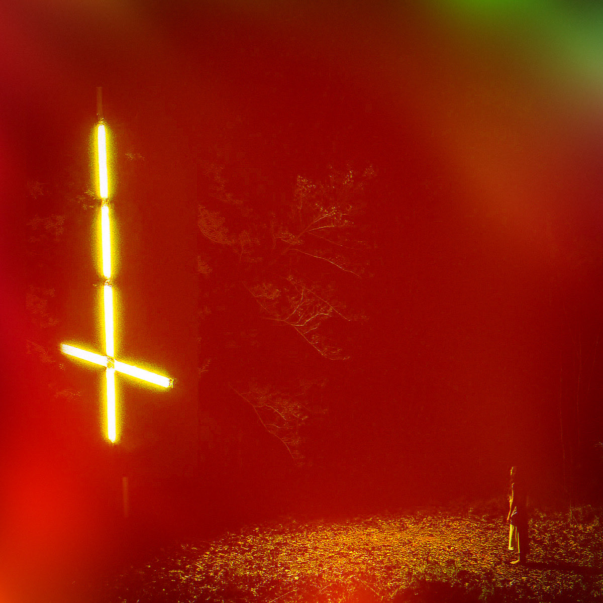 Bedlamite Rising tweet media