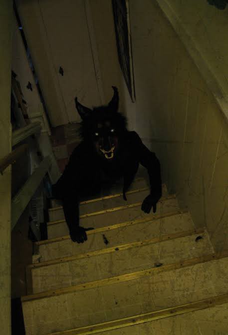 Pumpkin || inactive tweet media