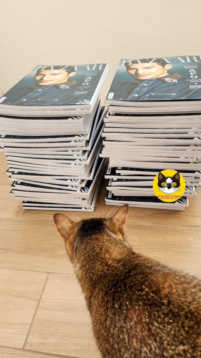 Thank you #apocolleagues for your support - Apo's cover on Harper's Bazaar Singapore November 2024 Issue!

Received from courier yesterday, pre-ordered via SPH online. 

Now, to distribute our handsome man's cover magazines around the sunny island 🌞💛🧡

<a href="/Nnattawin1/">Nnattawin</a> #ApoNattawin