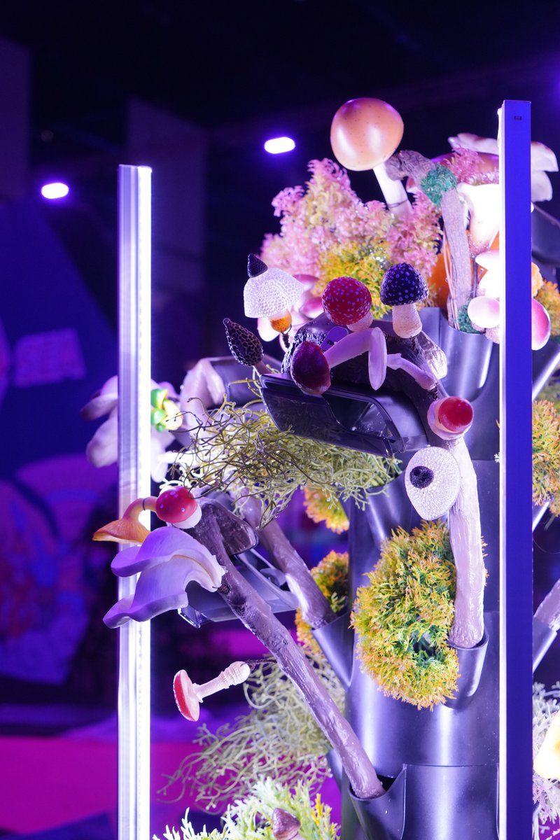 reality design lab tweet media