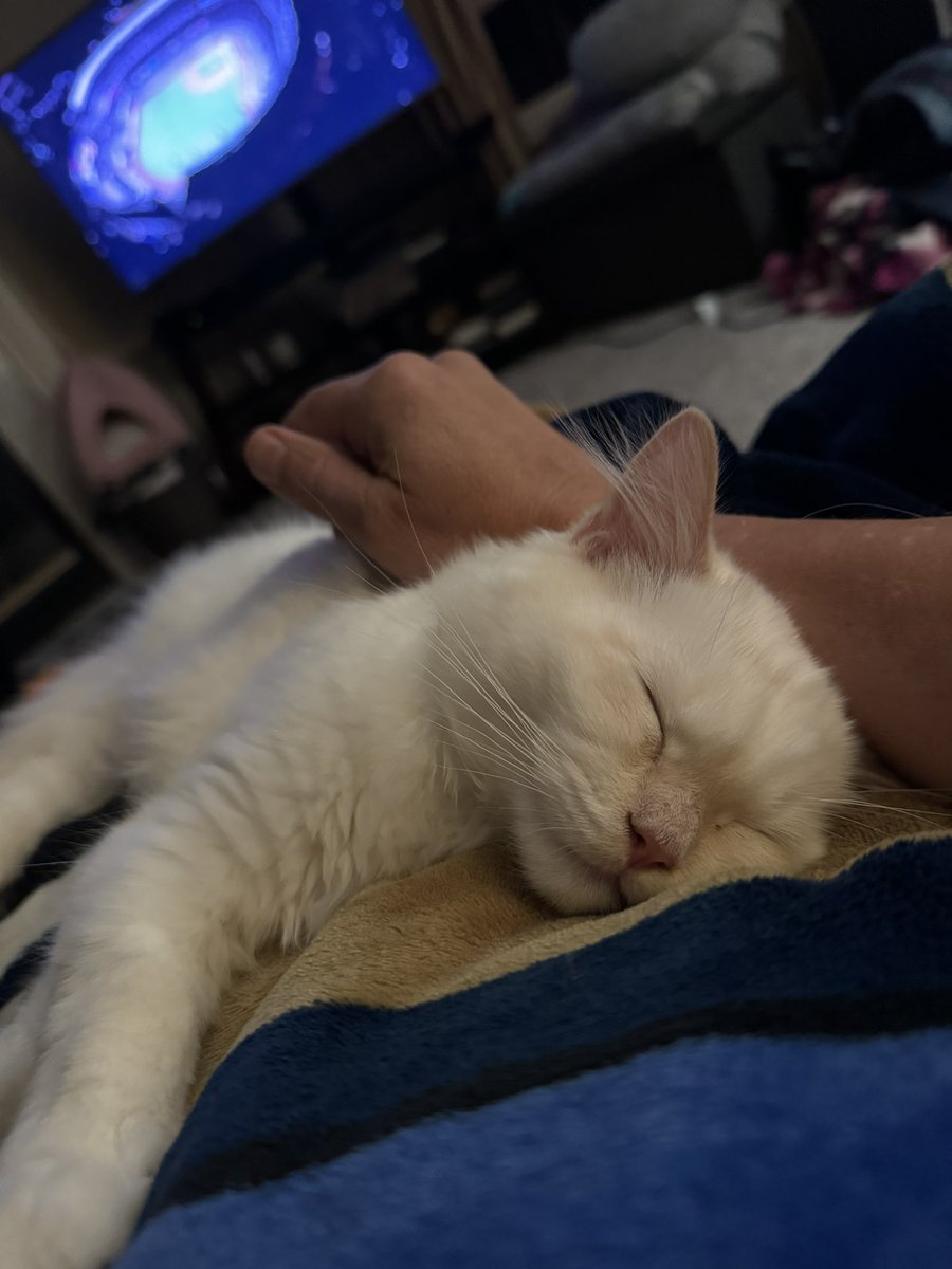 DanChr7's tweet photo. @MLB @FreddieFreeman5 Li’l Freddie sleeping through the World Series https://t.co/Bwjg3fQZsI
