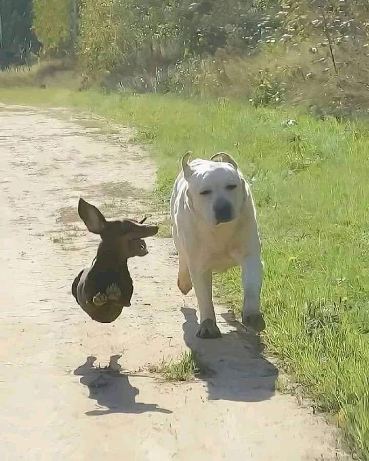 ㅋㅋㅋㅋㅋㅋㅋㅎㅎㅋㅎㅋㅋ