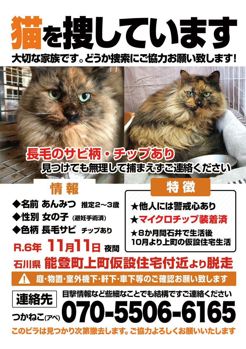 tsukaneko222's tweet photo. 🚨迷子猫探しています🚨
能登町上町仮設住宅付近、11/11より行方不明のあんみつちゃん情報募ります。

長毛サビ・雌・避妊手術済・チップあり。庭・物置などご確認お願いします。些細な事でもご連絡下さい🙇

#拡散希望 #迷子猫 #能登町  #能登半島地震 https://t.co/K50uDPfzmy
