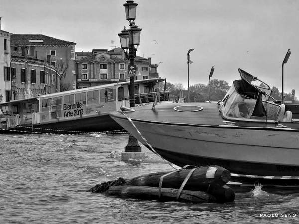 Iveser Venezia tweet media