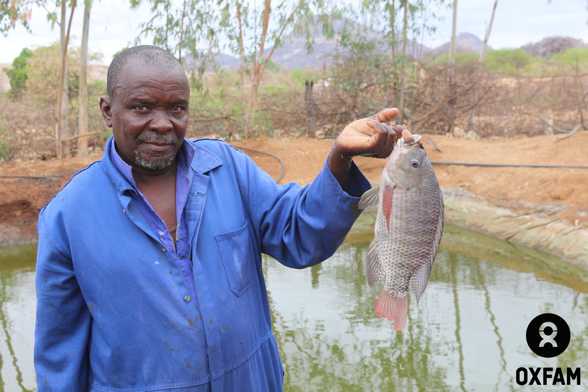 ✨ Meet Philip Mutudza, a resilient farmer from Buhera Ward 2️⃣5️⃣ who has turned climate change challenges into opportunities with support from the Climate Adaptation for Rural Livelihoods Project (Phase 2). 
#CARL
#FoodSecurity
#ClimateChange