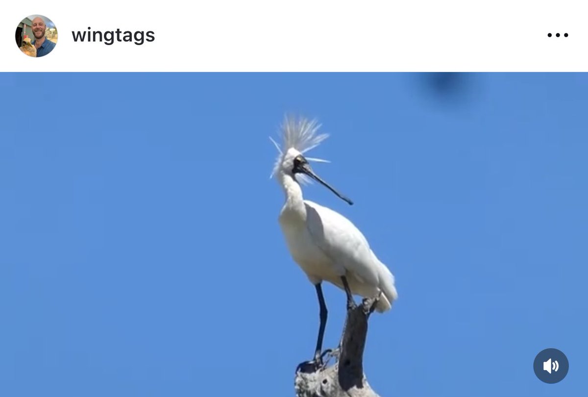 Dr John Martin tweet media