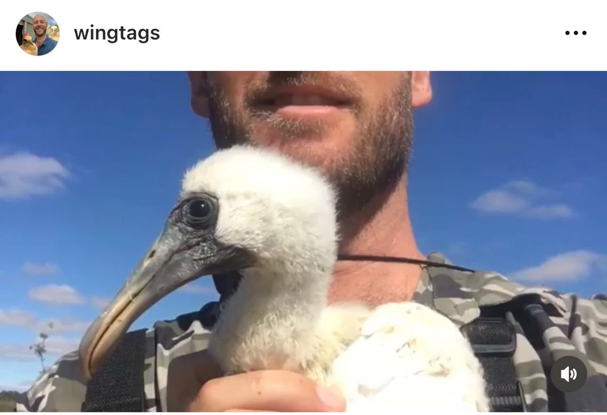 Dr John Martin tweet media