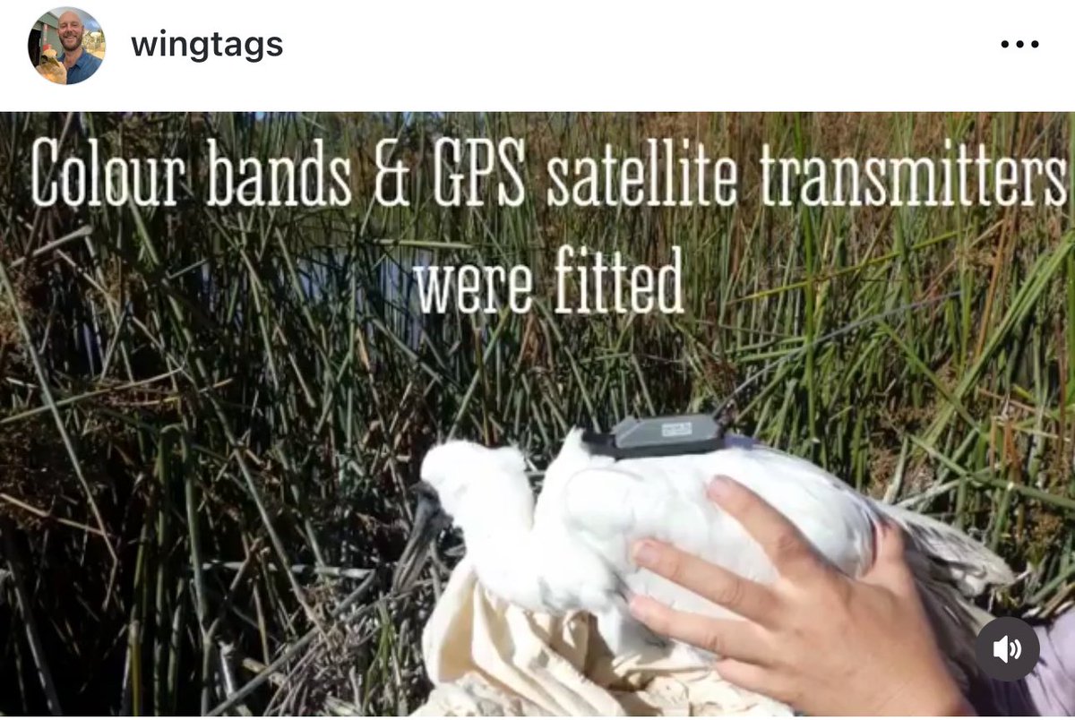 Dr John Martin tweet media