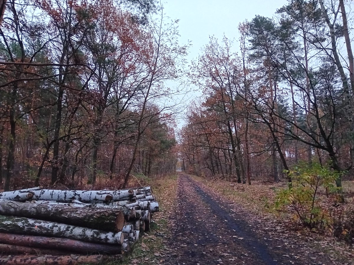 IMGWmeteo's tweet photo. ☁️Monotonna, pochmurna i wilgotna pogoda z miejscami występującymi mgłami i zamgleniami będzie niekorzystnie wpływała na organizm człowieka. Uciążliwy będzie zwłaszcza ograniczony dopływ promieniowania słonecznego (pogorszenie nastroju, uczucie senności)😴.
#IMGW #biometeo https://t.co/PVk4juyiZL