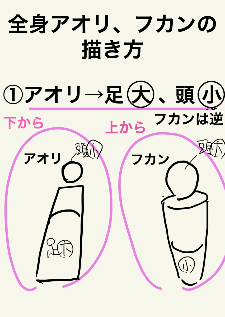 【視点の距離比でパースが決まる!!】
 アオリフカンは遠近の視点で見え方が変わる!!
 近くから見ると頭と足元の大小差が大きくなり、遠くから見ると大小差がなくなる。
 視点からの距離比で相似関係となりパース線が決まります。 