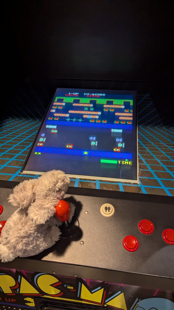 ElizabethBarko1's tweet image. #Rocky tried his hand at a classic old school video game - #Frogger. He clearly needs more practice for improved motor learning if he ever hopes to win. #NDD #childneurology