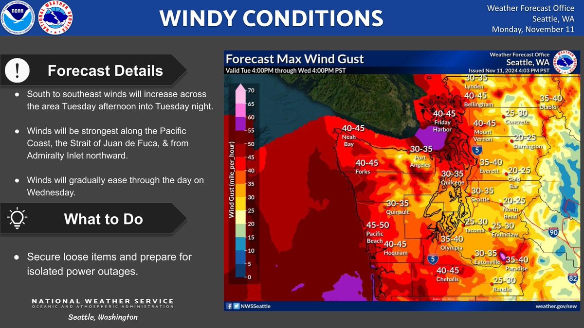 A strong frontal system moving into Western Washington will produce gusty south to southeast winds across the region Tuesday afternoon and Tuesday night. Winds will gradually ease on Wednesday.