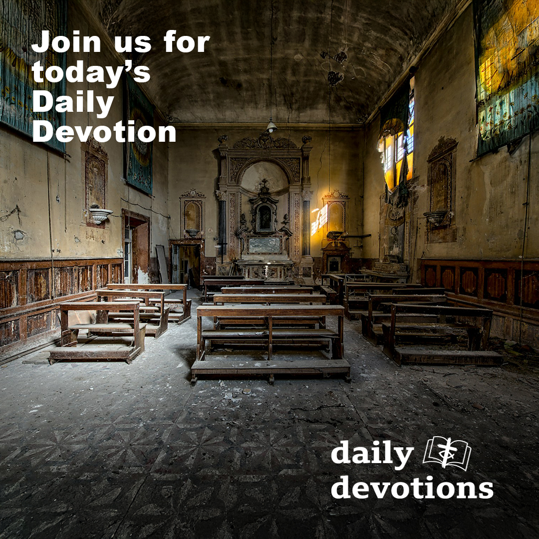 UnitedReformed's tweet photo. “The trauma experienced by the remnant that is left is profound; we have seen the bad shepherds betray their vows, their people, and God.” Andy Braunston ponders good and bad shepherds in today’s #DailyDevotion
 
https://t.co/tmJF3gUZUQ

Image: v2osk| Unsplash

#URC https://t.co/LCmAEFSDCe