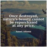 Photo by Rooted in Resistance (@RootedinResist1)