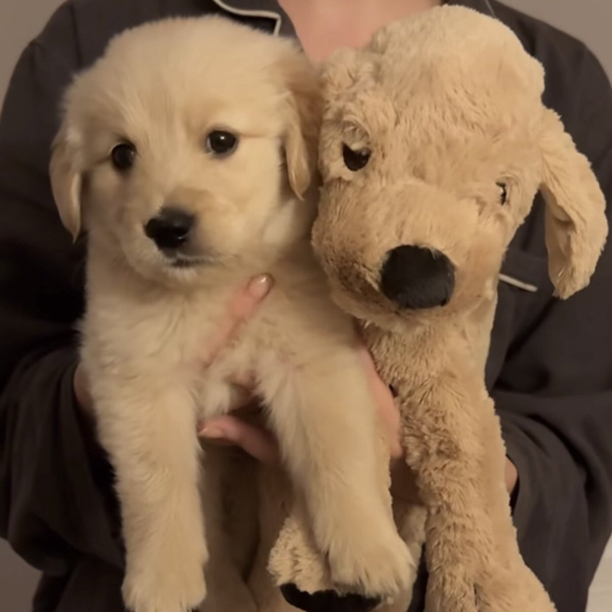 คัยน่ารักกว่ากัน พุดดีๆนะ ไม่งั้นจาเยี่ยวใส่รองเท้า