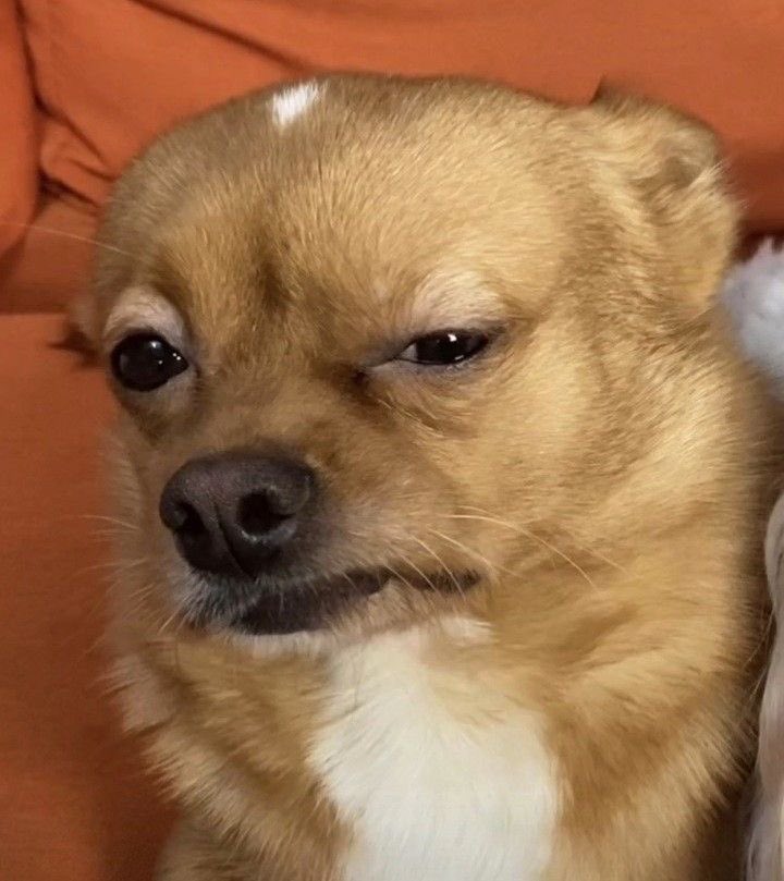 aAa (@angelcamara85) on Twitter photo 