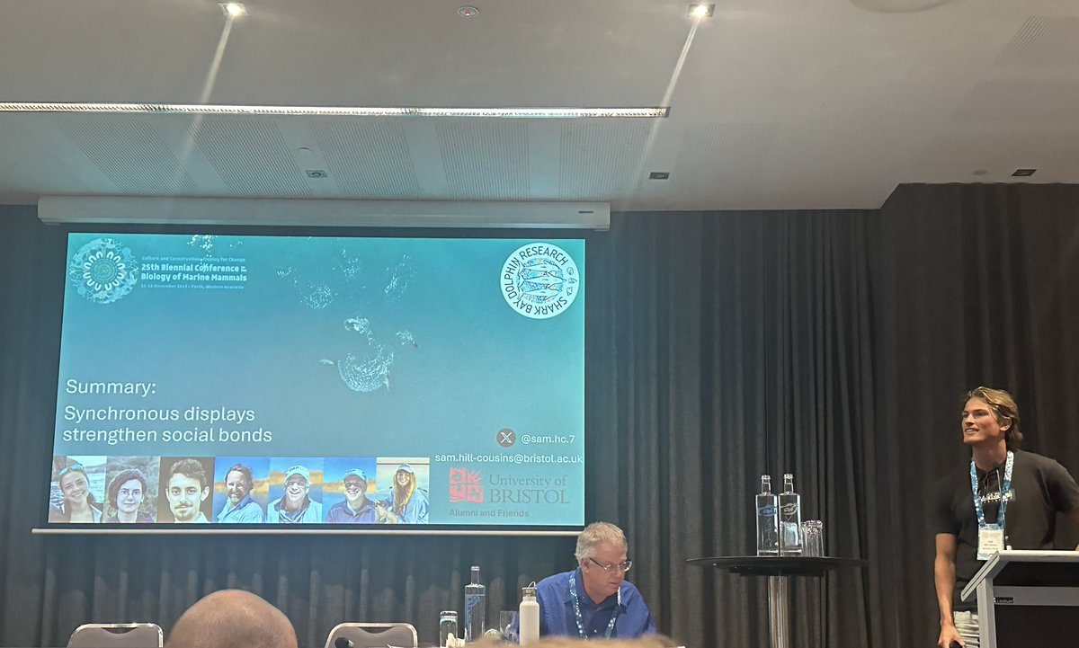 Shark Bay Dolphin Research (@researchdolphin) on Twitter photo Fantastic new insight into motor synchrony by <a href="/sam_hc_7/">Sam Hill-Cousins</a> - synchronous displays strengthen social bonds in allied male dolphins #PerthSMM2024 #SMM2024 <a href="/BristolBioSci/">University of Bristol Biological Sciences</a> Fantastic new insight into motor synchrony by <a href="/sam_hc_7/">Sam Hill-Cousins</a> - synchronous displays strengthen social bonds in allied male dolphins #PerthSMM2024 #SMM2024 <a href="/BristolBioSci/">University of Bristol Biological Sciences</a>