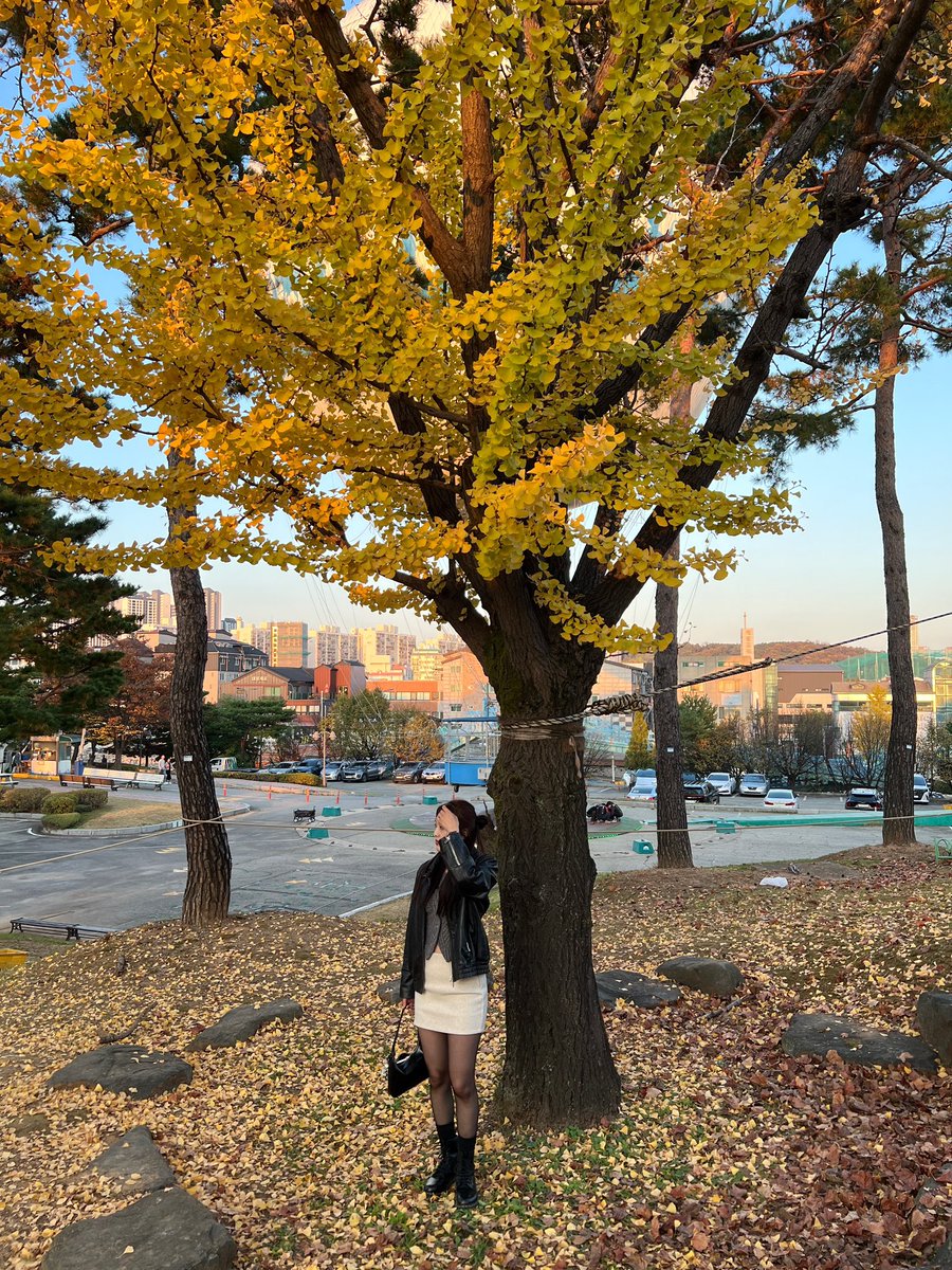 s9946_t's tweet photo. #日常 #日常垢

ミニスカって何歳まで履いていいんやろ
パンスト裂けてた、、、（ ;  ; ）

#ミニスカ https://t.co/UcBCZLjClQ