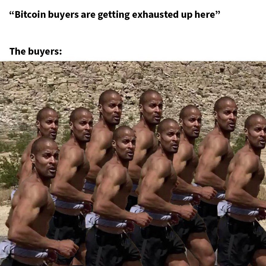 (Investing)"Bitcoin in Prima Pagina: Il Tweet di Jesse Cohen Svela Nuove Prospettive"