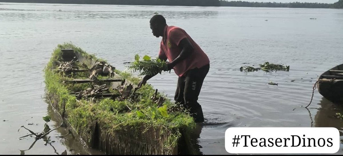 TitiNdema's tweet image. Dans la création des décors lors des tournages,vous devez toujours faire confiance aux experts.
Pour ce tournage,nous avons eu un appui magnifique.
#TeaserDinos
#LesDiversDuFoN 
#ProdExe