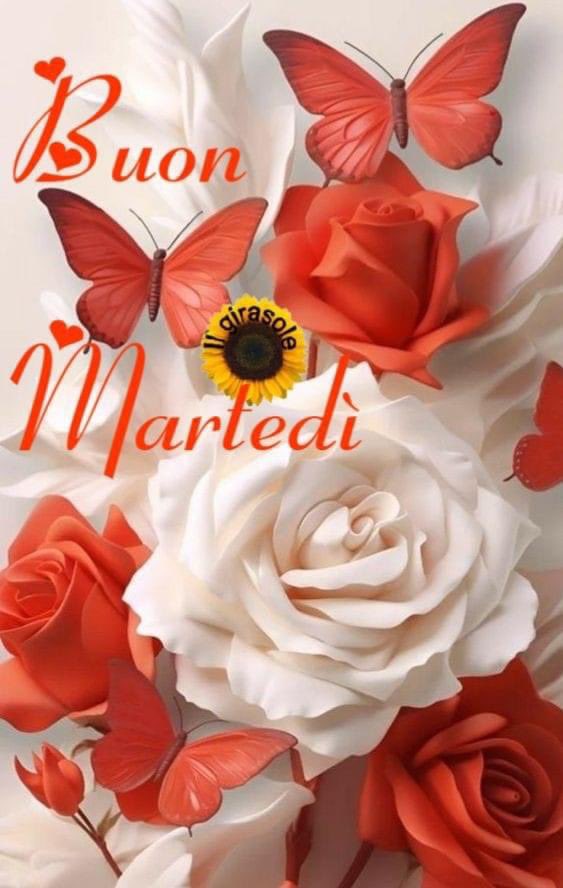 RITABIANCHi56 tweet media