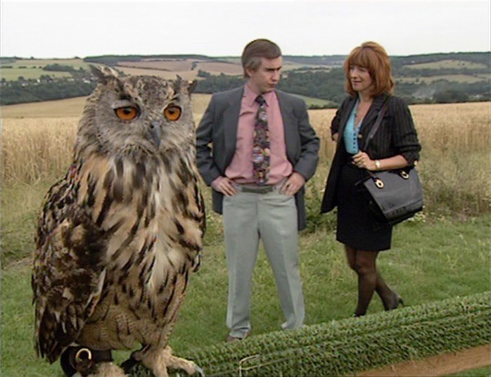 Accidental Partridge tweet media