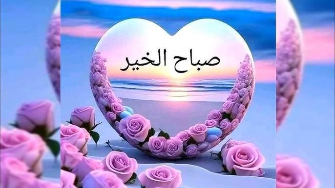 ساره tweet media